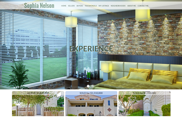 Pro Realtor Website Design