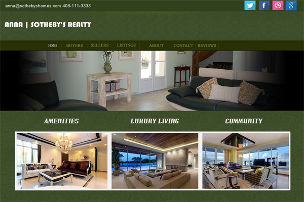 Pro Realtor Website Design